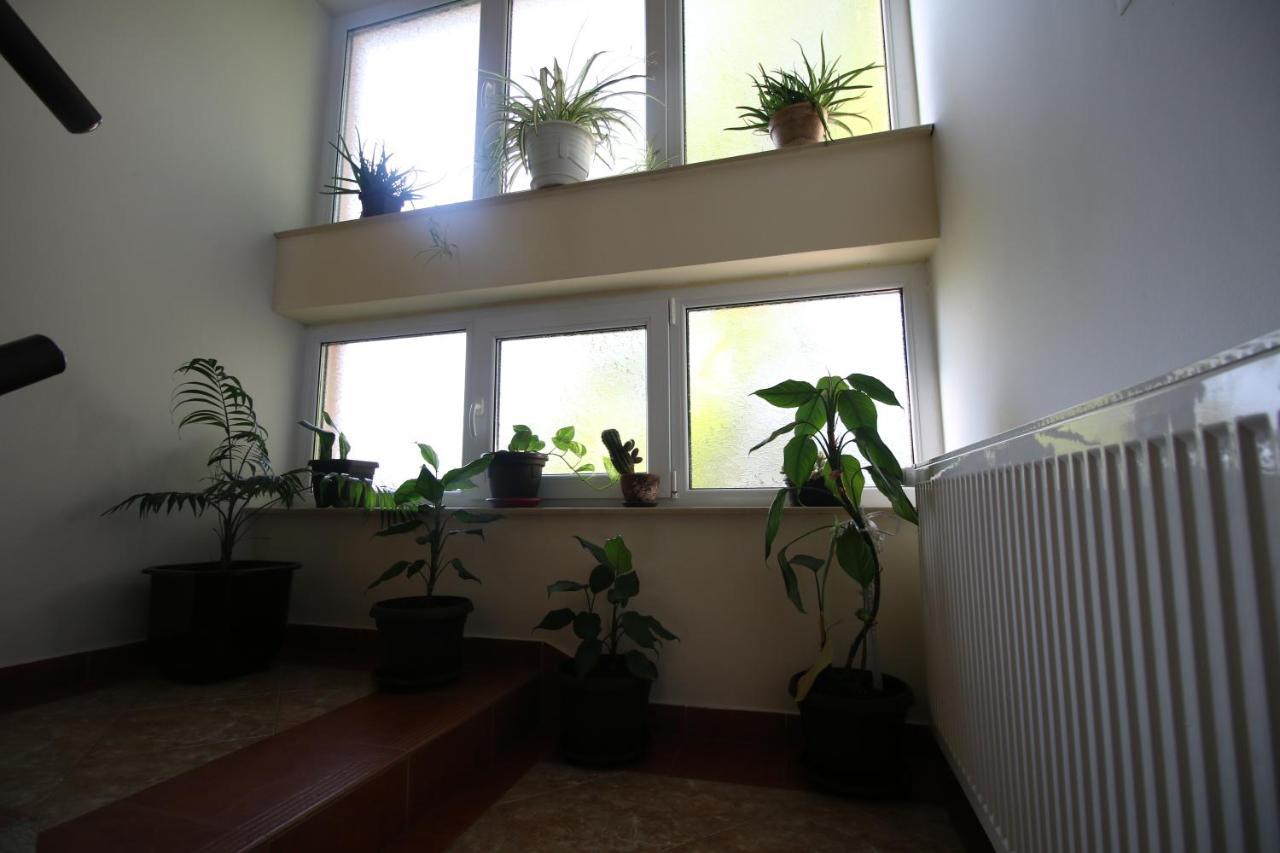 Hostel Teresianum Aleksinac Exteriér fotografie
